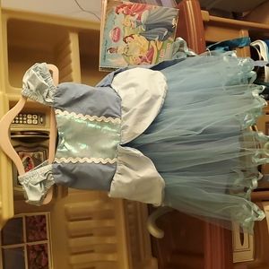 Cinderella Dress